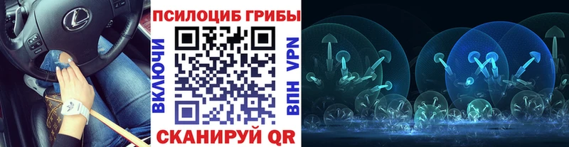 Псилоцибиновые грибы прущие грибы где купить наркоту Партизанск